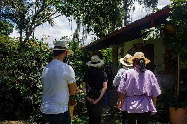Visit to Finca Cafetera From Seed to Cup