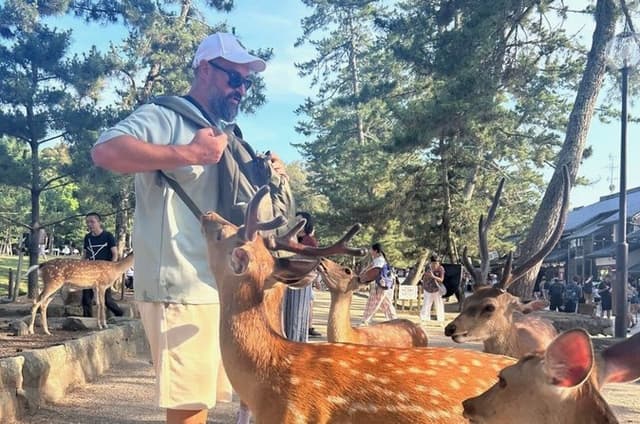 Osaka and Nara Private Car Tour with a Local English Guide Driver