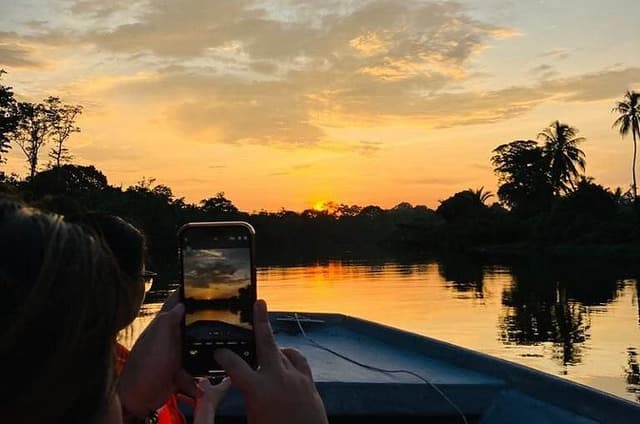 Scenic Full Day Klias Mangrove Wildlife and Fireflies with dinner