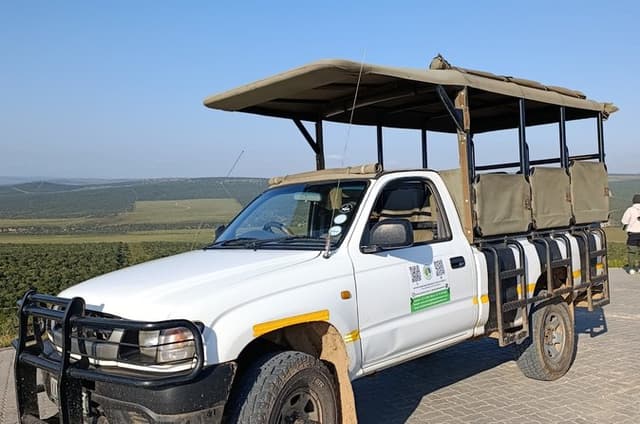 Addo Elephant National Park Full Day Safari