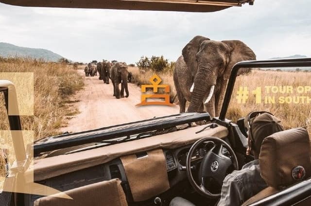 3 Hour Pilanesberg Afternoon Open Vehicle safari drive (Self drive)