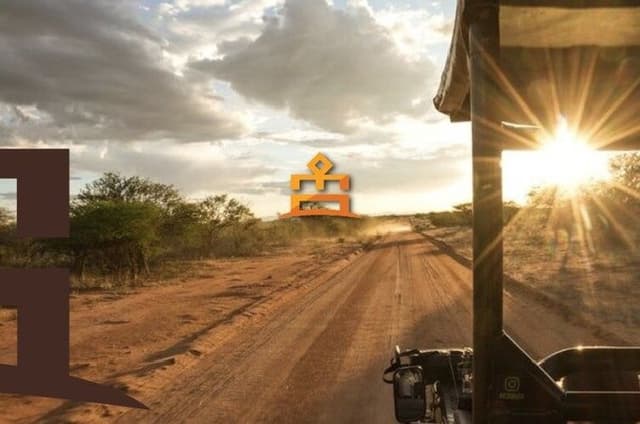 3-Hour Scheduled Safari Game Drive in Pilanesberg National Park