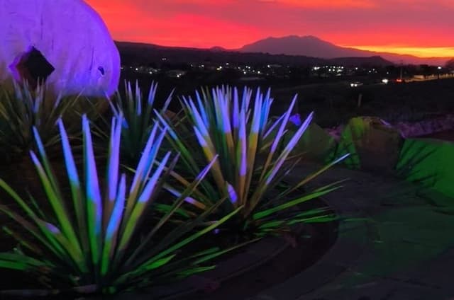 Alma Tequilera: Private Tequila Experience, Tasting & Celebration