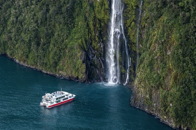 Milford Sound Nature Cruise with Southern Discoveries