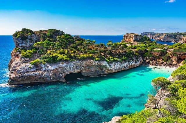 Best Mallorca Coves Tour: Paddle Surf, Snorkeling & Transport