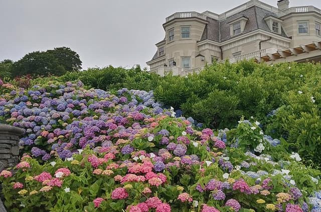 Historic Highlights Featuring Gilded Age Tour