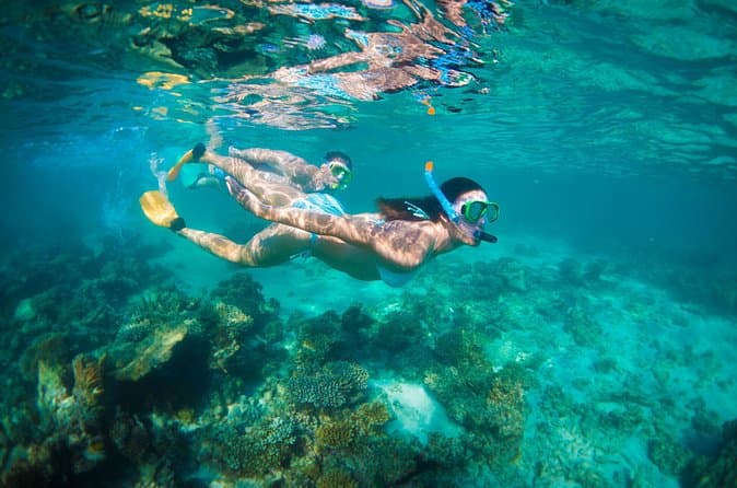 Best Coral Coast Day Trips from Perth