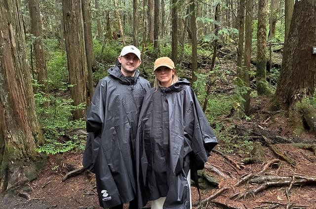 Mt. Fuji & Aokigahara Forest Tour by Car, Licensed Guide