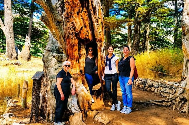 Qadisha Valley, Bcharee & Cedar Small Group Tour with Lunch
