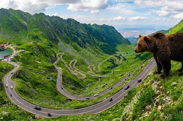 Top Gear Road -Transfăgărăşan, Small-group max 7, Pick-up include