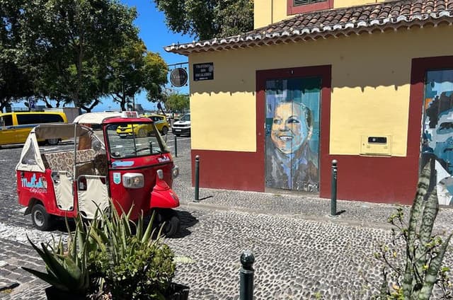 Madeira Special City Tuk Tuk Tour and Viewpoints by MadTuk