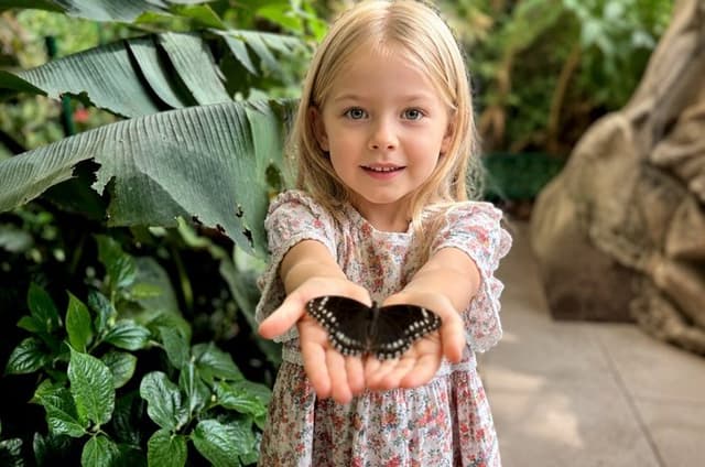 Vienna Private Family Tour: City Highlights, Museum and Cake