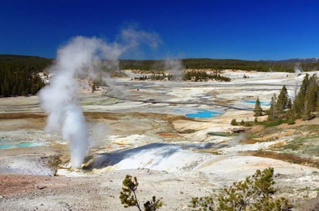 Yellowstone Grand Loop self-guided driving tour start Grant VC