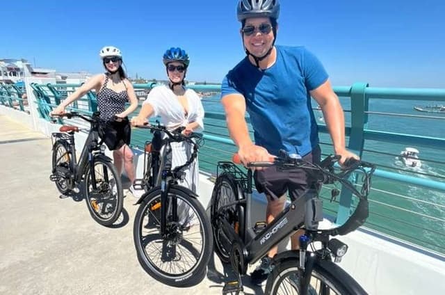 Best of St Pete E-Bike Sightseen City Tour