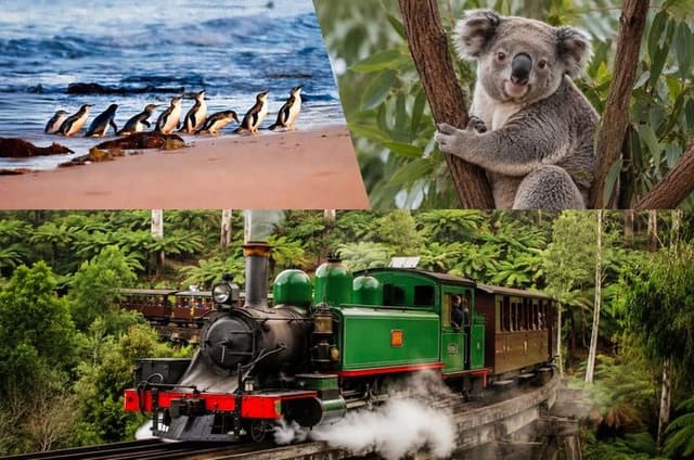 Puffing Billy Phillip Island & Zoo Small Group Hotel Pick Up
