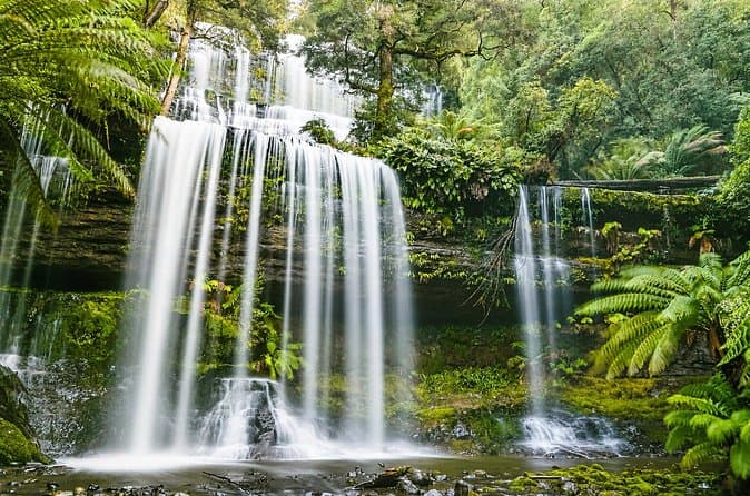 Best Mt. Field & Mt. Wellington Tours from Hobart