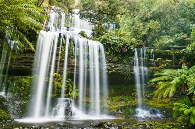 Day Tour in Mt. Field, Mt. Wellington, Bonorong Wildlife Sanctuary and Richmond