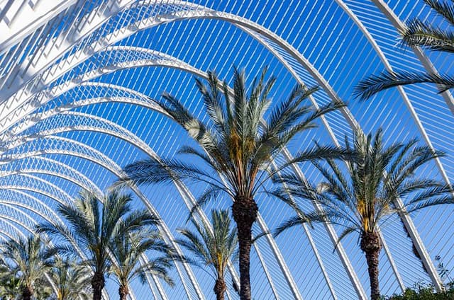 Valencia Triple Experience Shore Tour