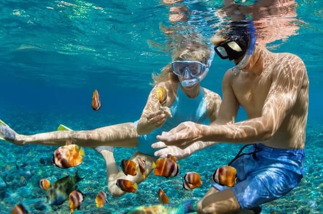 Puerto Morelos Turtle and Reef Snorkeling Adventure