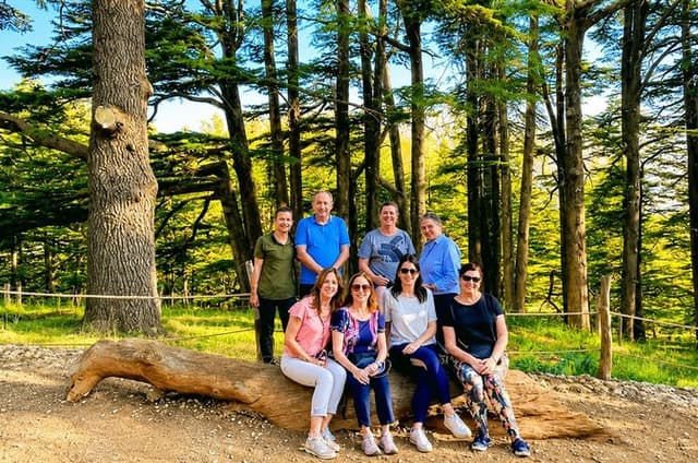 Small-Group Tour Qadisha Valley, Becharre and Cedars with Lunch and Tickets