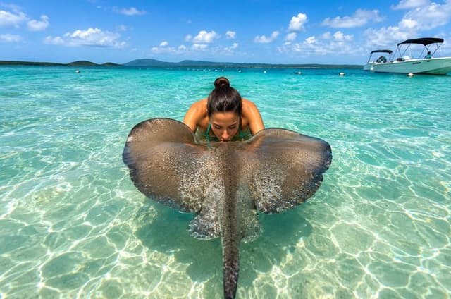 Antigua Stingray Experience with Hotel Pickup & Local Guide