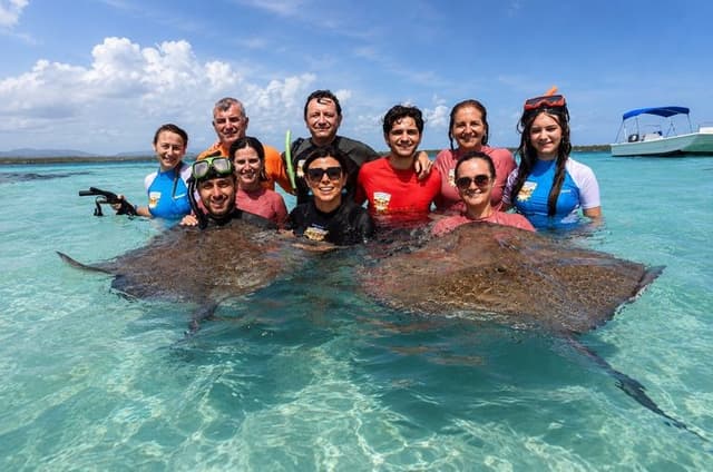 6h Ultimate Antigua Tour: Stingray City, Beach & Local Lunch