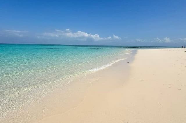 Zanzibar - Prison Island & Nakupenda Sandbank with Lunch (BBQ)