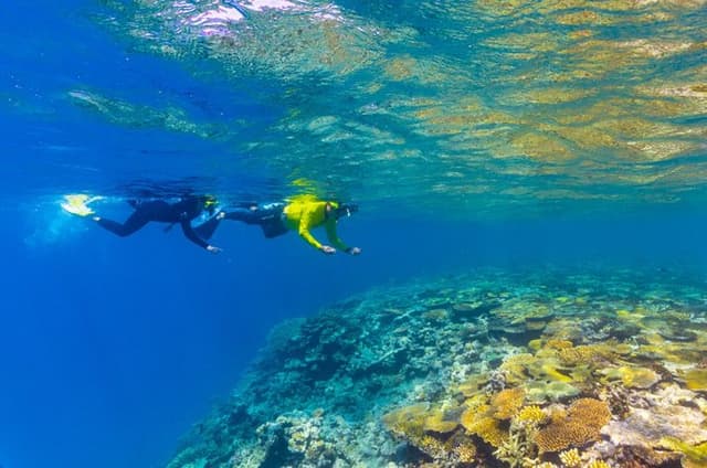 Great Barrier Reef Cruise from Townsville or Magnetic Island