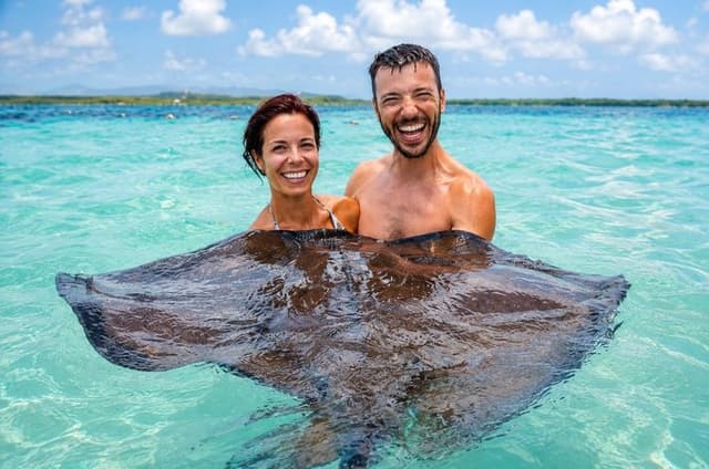 6h Bucket List Tour: Stingray City, Beach & Local Lunch