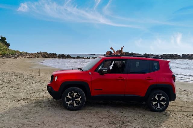 Corfu Port: Private Custom Jeep Safari, Off-Road & Beach Swim