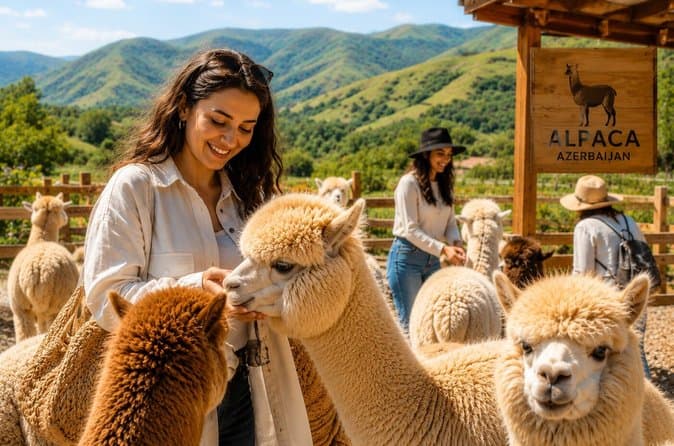 Best Shamakhi Alpaca Tours & Excursions