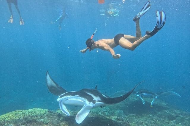 Nusa Penida Full Day Trip to West Part from Nusa Lembongan