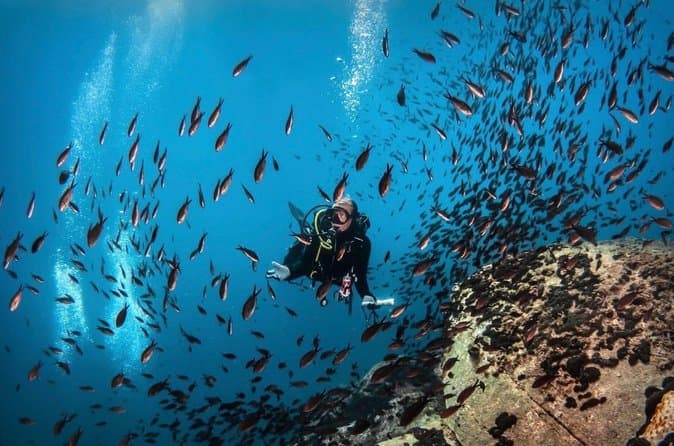 Top-Rated Scuba Tours Near Diaporos Island