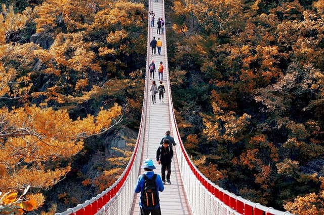 Seoul Day Tour: Scenic Nature, Hanok Serenity & Korean Wellness