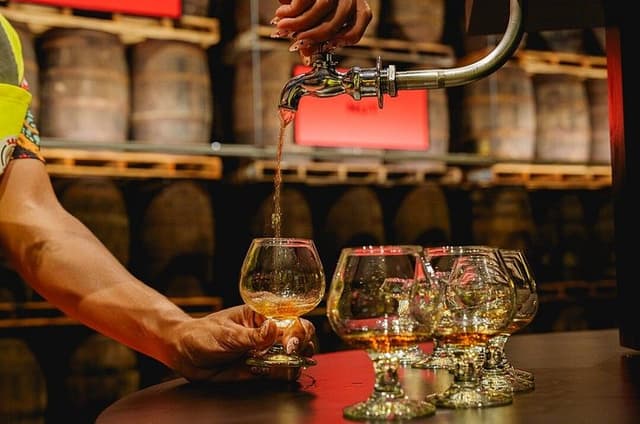 The Maestro's Walk: A Rum Tasting Experience