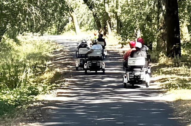 Healdsburg Wine Country Electric Trike and Wine Tour 3 Hours
