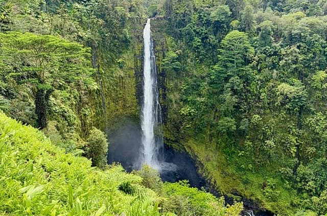 Hilo Shore Excursion Tropical Escape: Akaka Falls & Black Sands