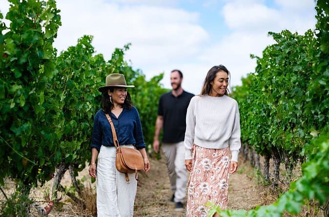 Best Margaret River Wine Tours from Perth