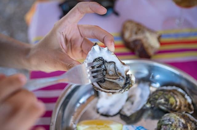 Private Half Day Wine and Oyster Tasting Tour from Cap d'Agde