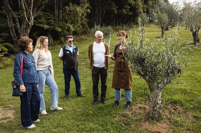Waiheke Island Gourmet Food and Wine Tour with Oysters