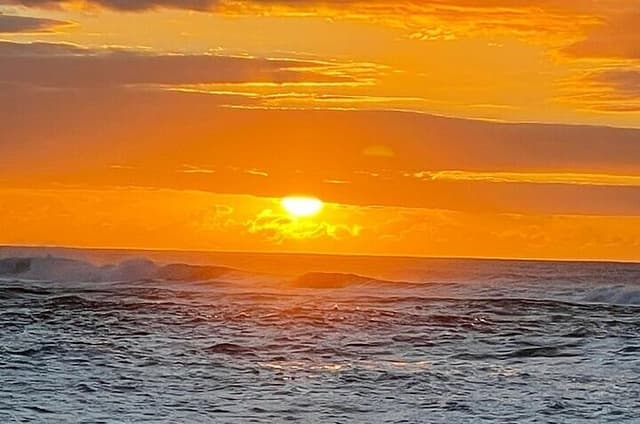 Oahu North Shore and East Shore Sightseeing Tour