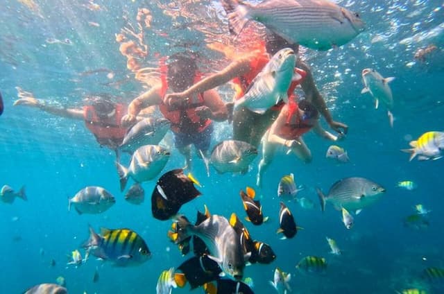 Los Arcos Half-Day Snorkeling & 6 Hidden Beaches Tour