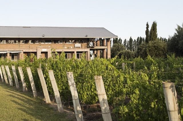 Mendoza Achaval Ferrer Ultimate Wine Tasting and Winery Tour