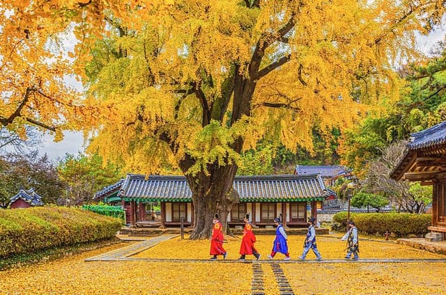 Jeonju Hanok Village Full-Day Tour: Jangtaesan Green Forest