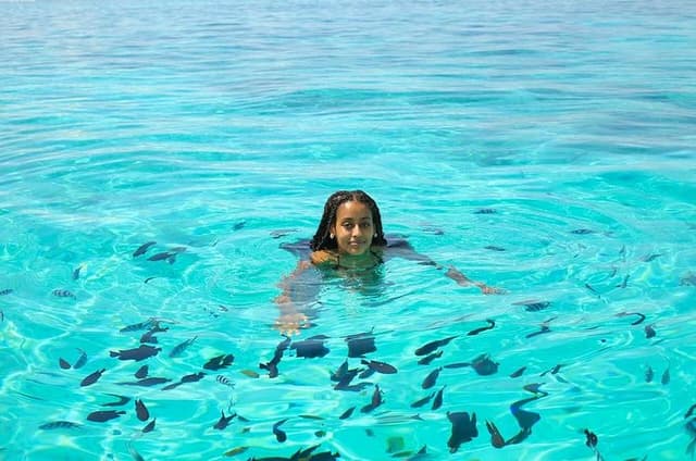 Full-Day Northern Zanzibar Snorkeling, Turtles and Sunset