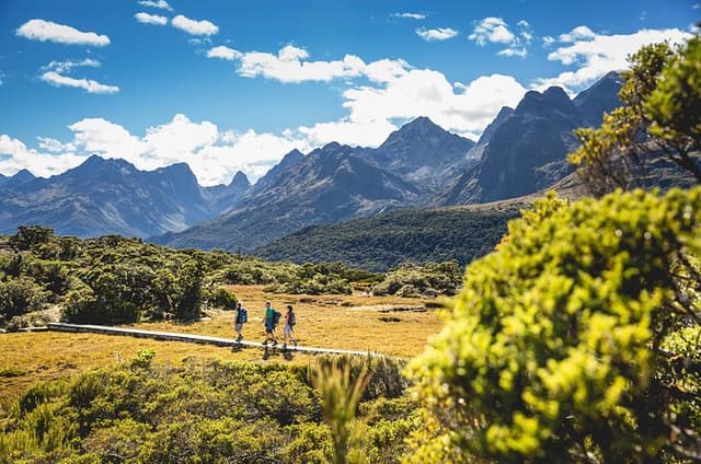 Milford Sound Sea to Summit Experience from Te Anau
