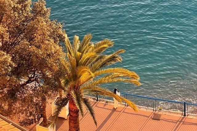 Nice VIP Private Tour: Discover the Mysterious Old Town secrets