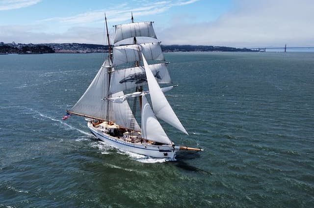 Sausalito Shared Sailing Tour 4 Day Voyage