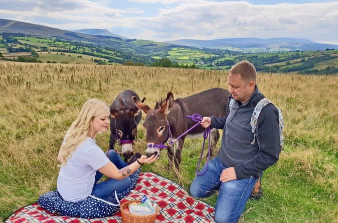 Brecon Beacons Eight Waterfalls Travel Guide