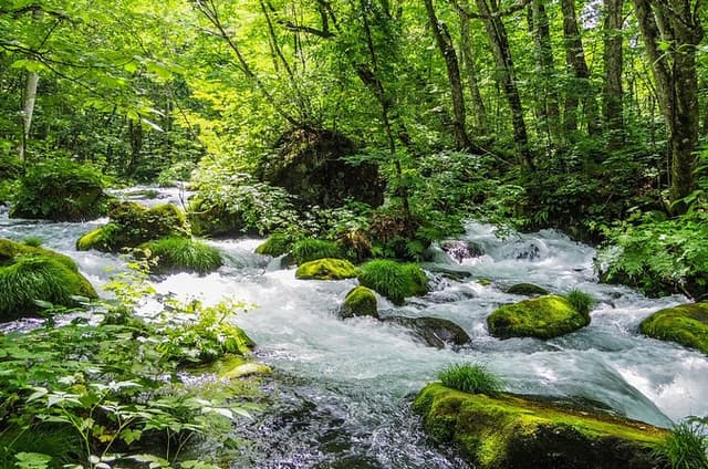 Crystal River Gorge and Volcanic Lake Tour
